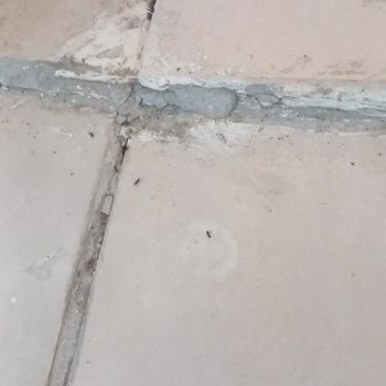 Oda Temizliği Ve Fiziksel Koşullar Beklentinin Çok Altında