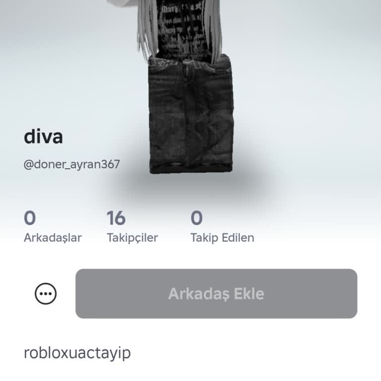 Oyun Hesabımda Yaşadığım Mağduriyet Ve Destek Talebim