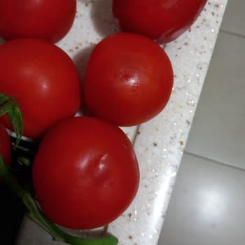 Siparişte Eksik Tutar Ve Kalitesiz Ürün Teslimatı