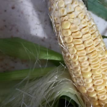 Siparişte Eksik Tutar Ve Kalitesiz Ürün Teslimatı