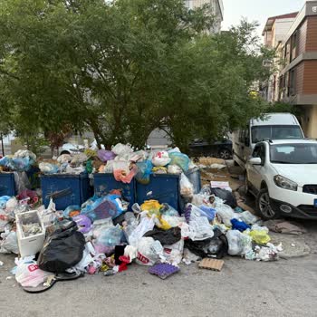 Çöpler Toplanmıyor, Mahalle Sinek Ve Koku İçinde Mağduruz
