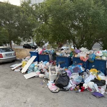 Çöpler Toplanmıyor, Mahalle Sinek Ve Koku İçinde Mağduruz