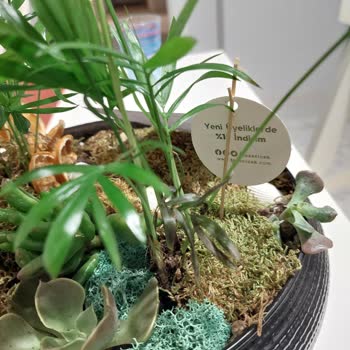 Solmuş Ve Kırık Çiçek Teslimatıyla Yaşadığım Mağduriyet