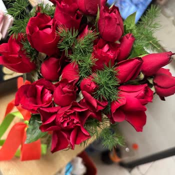 Aldığım Çiçek Beklentilerimi Karşılamadı, Görsel Gerçekle Uyuşmuyor