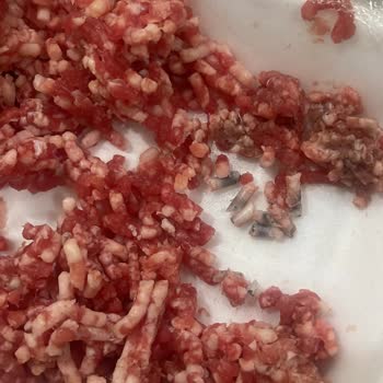 Migros Hemen'den Gelen Kıymanın Kalitesiz Ve Küflü Olması