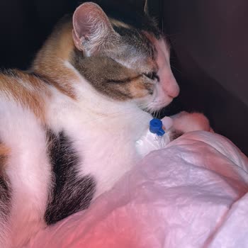 Yanlış Teşhis Nedeniyle Zor Günler Geçirdik