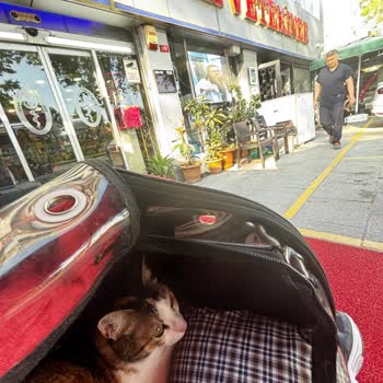 Yanlış Teşhis Nedeniyle Zor Günler Geçirdik