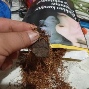 Camel Sarmalık Tütünde Kalite Düşüşü Ve Gramaj Sorunu