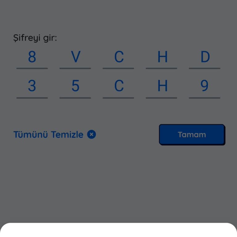 Geçerli Kodun Kullanılamaması Ve Sorunun Çözülmemesi