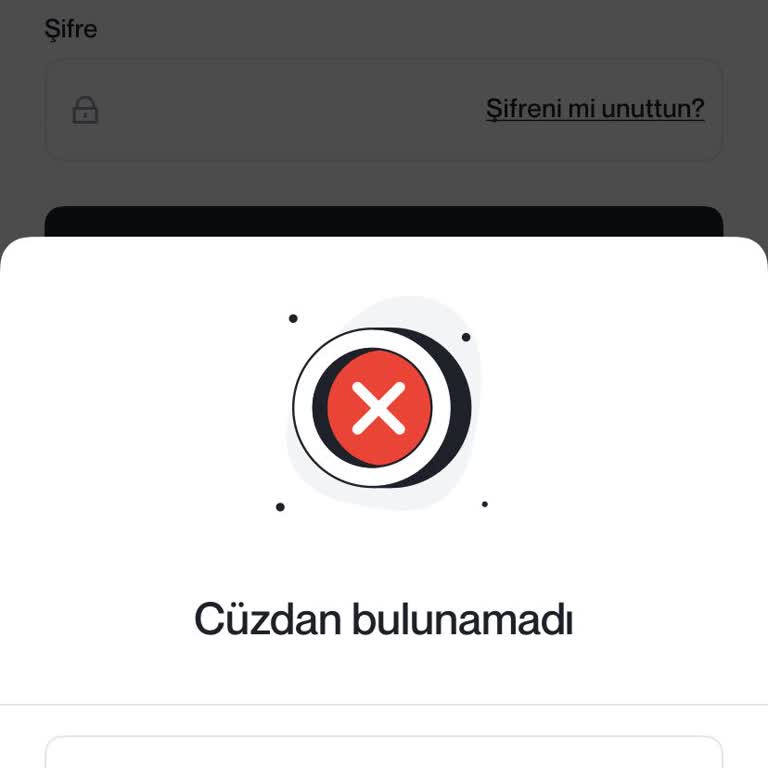 Papel Hesabımdaki Paranın Bankama Aktarılmaması Ve Cüzdanımın Kapatılması