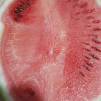 Karpuz İadesinde Yaşanan İlgisizlik Ve Çözüm Eksikliği