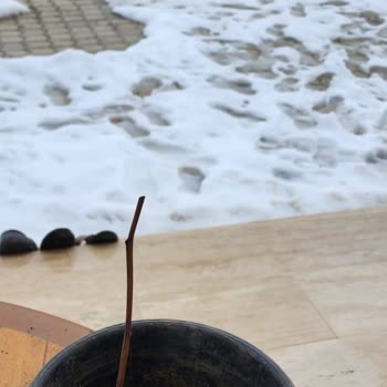 Yanlış Ürün, Eksik İade: Müşteri Mağduriyeti Zirvede