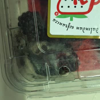 Ayıplı Ürün Ve Yetersiz Müşteri Hizmeti