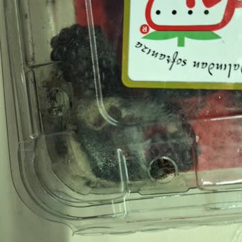 Ayıplı Ürün Ve Yetersiz Müşteri Hizmeti