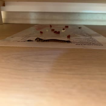 Otel Hizmetlerinin Yetersizliği Ve Temizlik Sorunları Nedeniyle Hayal Kırıklığı