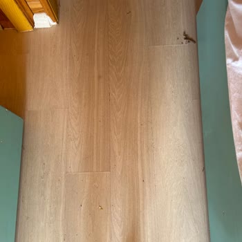 Otel Hizmetlerinin Yetersizliği Ve Temizlik Sorunları Nedeniyle Hayal Kırıklığı