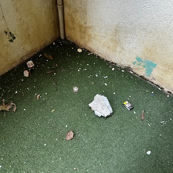 Bahçe Duvarımıza Düşen Molozlar Ve Güvenlik Önlemi Eksikliği