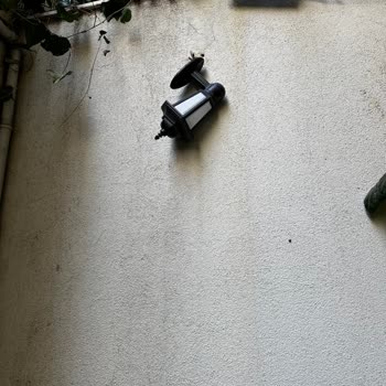 Bahçe Duvarımıza Düşen Molozlar Ve Güvenlik Önlemi Eksikliği