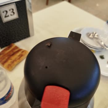 Kahvaltı Sırasında Sinekler Ve Hijyen Sorunu Yaşadık