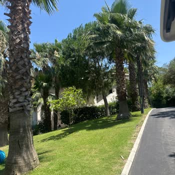 Otel Hizmetlerinde Yaşanan Aksaklıklar Ve Beklentilerin Karşılanmaması