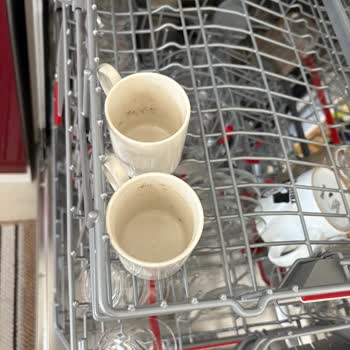 Bosch'un En Üst Model Bulaşık Makinesi Servis Tabaklarını Yıkamıyor!