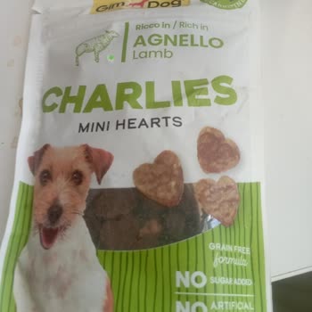 Yaren Petshop Sakarya Tarihi Silinmiş Ödül Maması Gönderdi