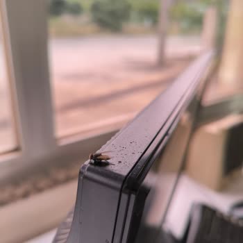 Detan Süper Elektrolikit Beklentileri Karşılamadı, Sinek Sorunu Çözülemedi