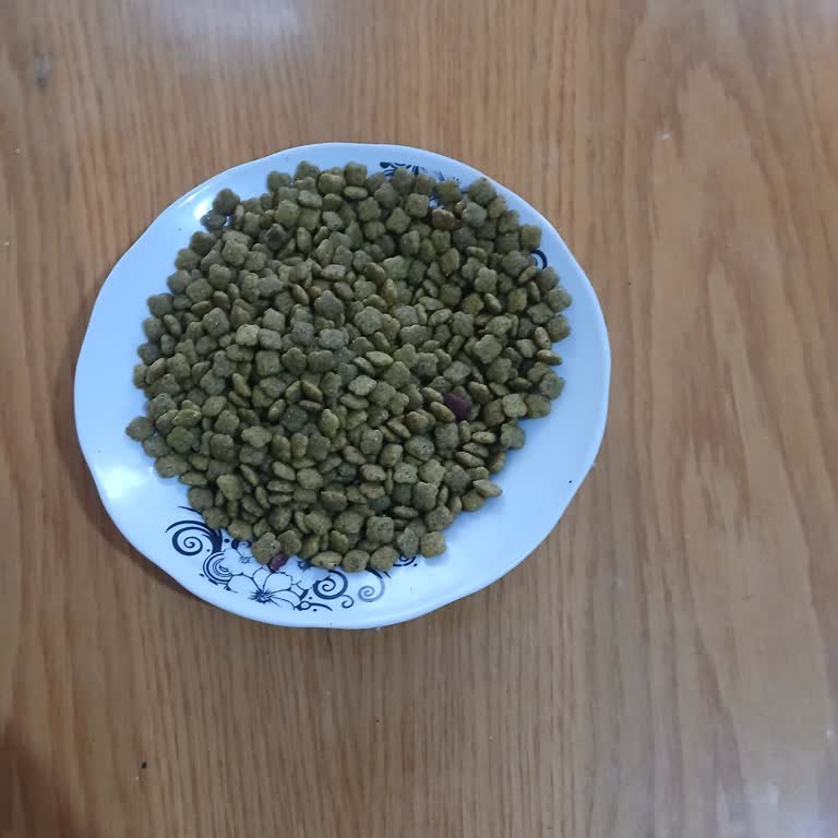 Kedilerim Sade Tavuklu Mamayı Yemiyor, Kötü Koku Var