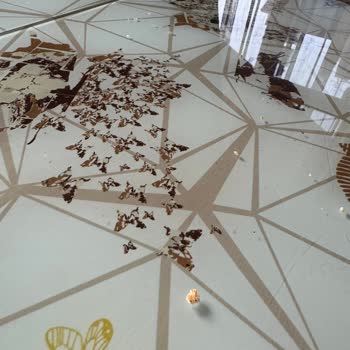 Bilet Tarihi Hatası Ve Para İadesi Sorunu