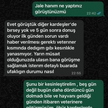 Sahiplendirdiği Yavru Hasta Çıktı, Sorumluluk Almadı