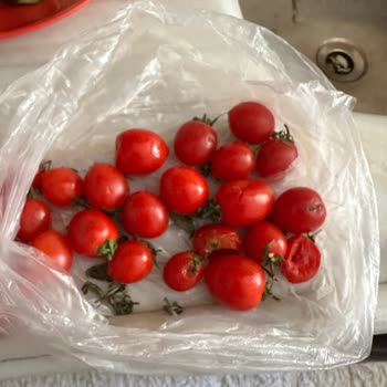 MigrosHemen'den Gelen Bozuk Ürünler Ve Denetimsizlik Güvenimi Sarstı