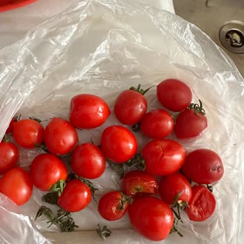 MigrosHemen'den Gelen Bozuk Ürünler Ve Denetimsizlik Güvenimi Sarstı