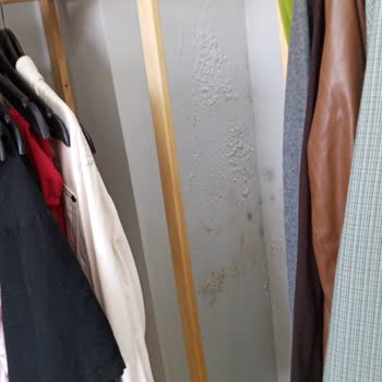 Üst Kattan Gelen Su Sızıntısı Evimde Hasara Ve Mağduriyete Yol Açıyor