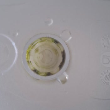 Brita Sürahi İç Haznesinde Yosunlanma Sorunu Ve Temizlikte Başarısızlık