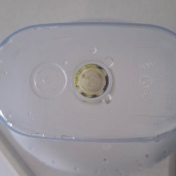 Brita Sürahi İç Haznesinde Yosunlanma Sorunu Ve Temizlikte Başarısızlık