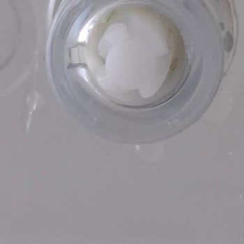 Brita Sürahi İç Haznesinde Yosunlanma Sorunu Ve Temizlikte Başarısızlık