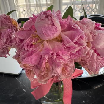 Aldığım Çiçekler Erken Soldu, Hayal Kırıklığına Uğradım