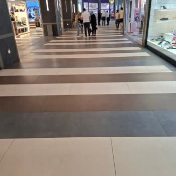 İstmarina'da Hayvanlar Nedeniyle Yaşanan Kötü Koku Ve Sağlık Sorunları