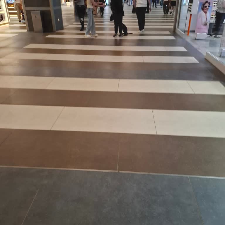 İstmarina'da Hayvanlar Nedeniyle Yaşanan Kötü Koku Ve Sağlık Sorunları