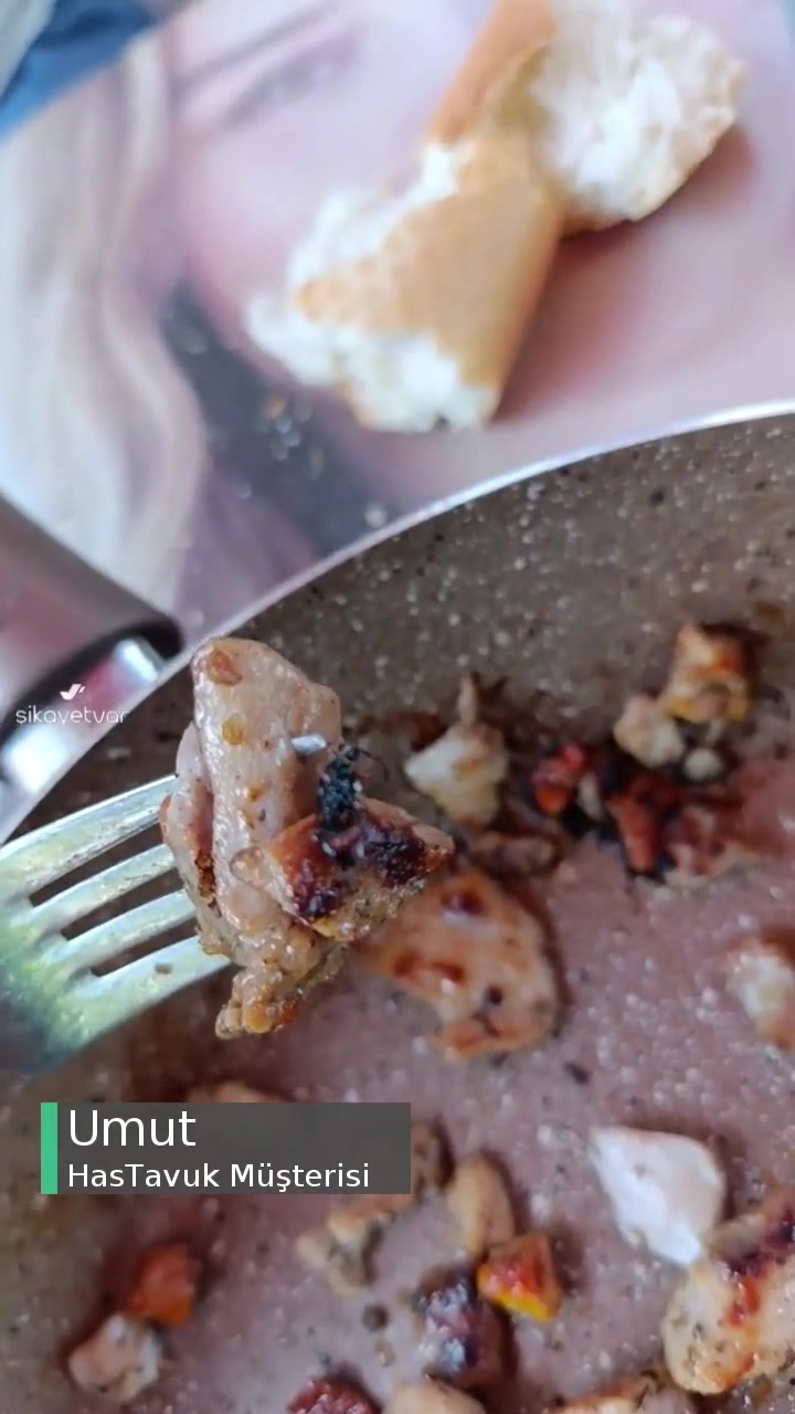 Filemarket Hastavuk Markalı Yayla Soslu Tavukta Kızarmış Böcek videonun kapak resmi