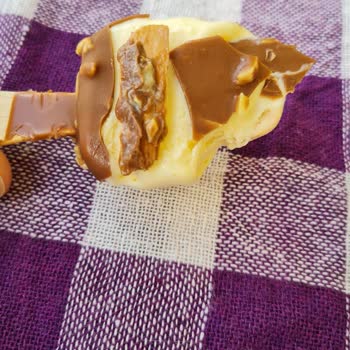 Dondurma İçinden Ahşap Parçası Çıkması