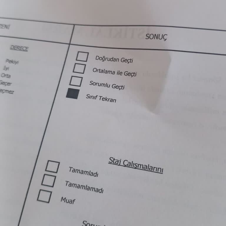 Sağlık Meslek Lisesinde Sınıf Tekrarı Ve Psikolojik Etkileri