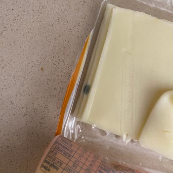 Kaşar Peynirinde Küf ve Kötü Koku Şikayeti