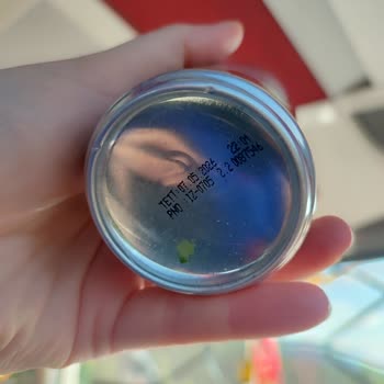 Kahvede Beyaz Tortu Nedeniyle Yolculukta Mide Bulantısı Yaşadım