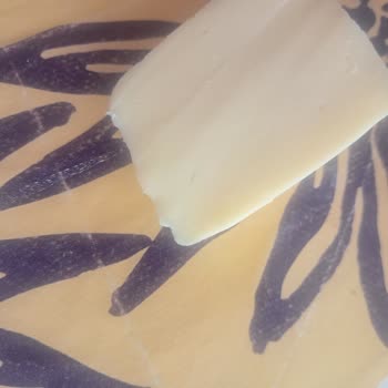 10Süt Kaşarında Yabancı Madde