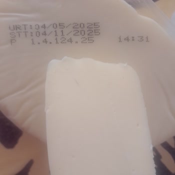 10Süt Kaşarında Yabancı Madde