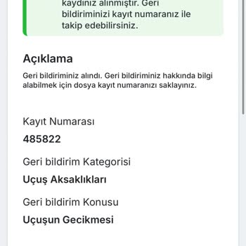 Sürekli Ertelenen Uçuş Ve Yemek Sözü Tutulmadı, Mağdur Edildik