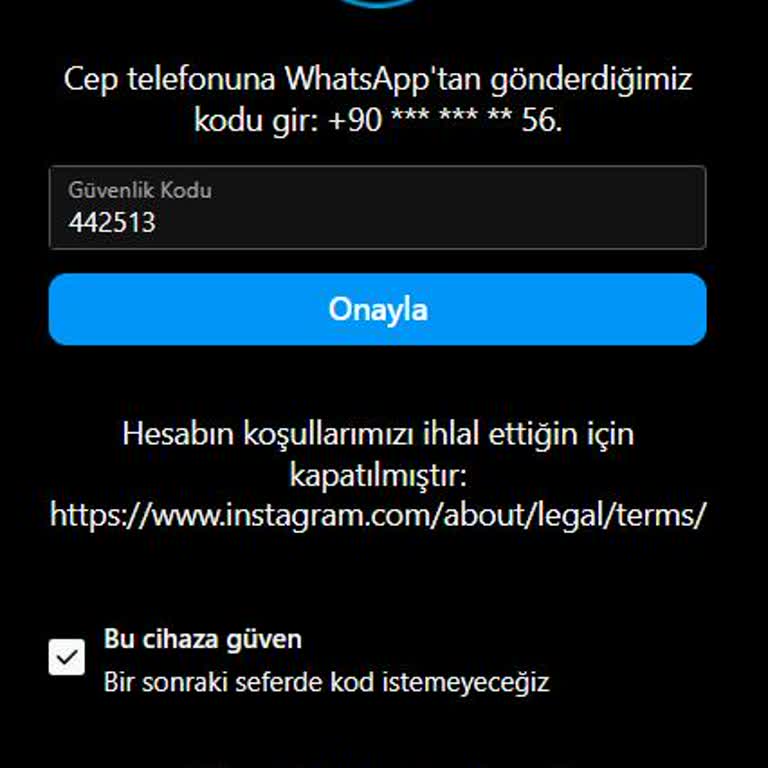 Instagram Hesabım Haksız Yere Kapandı, Destek Ekibi Sessiz Kaldı