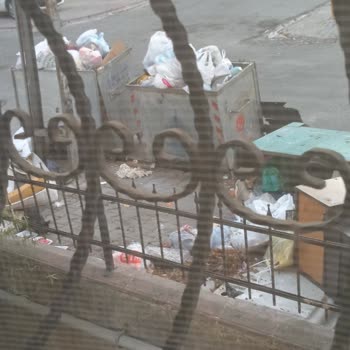 Kapımın Önündeki Çöp Kutusu Hayatımı Zorlaştırıyor