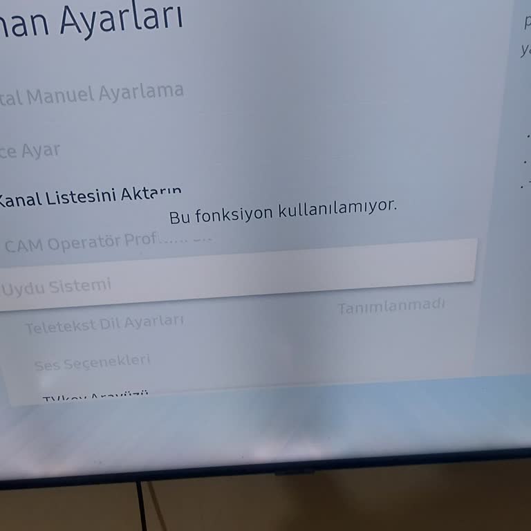 Samsung TV'de Uydu Sistemi Ayarlarına Erişemiyorum